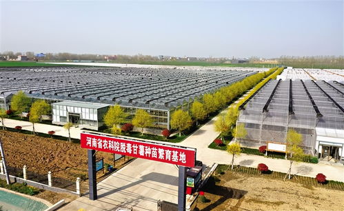 給農業插上科技的翅膀 河南周口國家農業科技園區走筆