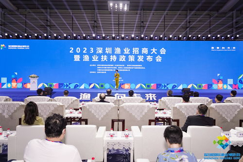 深圳大鵬新區沙魚涌 現代漁港經濟區揚帆啟航，耕牧“藍色糧倉”新篇章