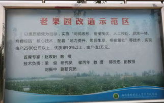 金秋果鄉行，魅力試驗站——西北農林科技大學白水蘋果試驗示范站“瑞陽”“瑞雪”新品種觀摩會紀實