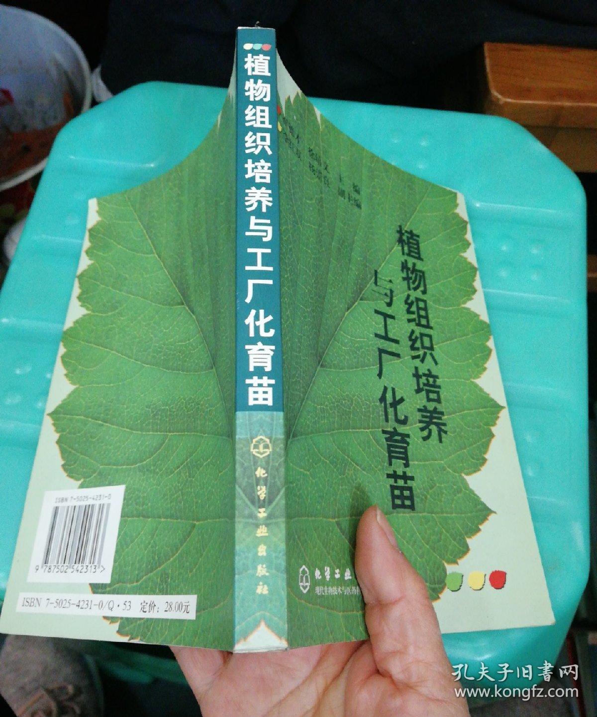 植物組織培養 現代農林牧漁技術推廣的關鍵驅動力